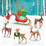 Christmas Cards - 10 Cards - Fun Santas