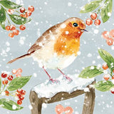 Christmas Cards - 10 Cards - Christmas Robins