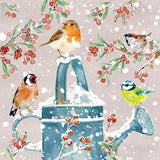 Christmas Cards - 10 Cards - Christmas Robins